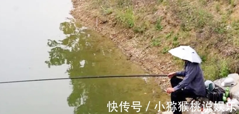 青铜器|河南老伯钓鱼钓出“乌龟”，龟背插着4支铜箭，专家：钓了18亿