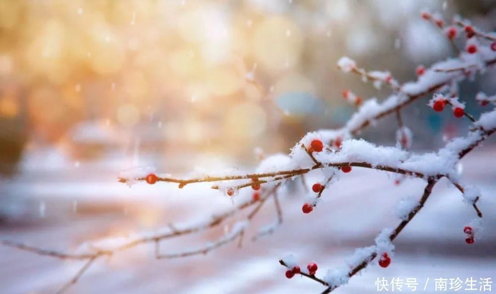 咏雪诗词！这9首咏雪诗词，不带一个雪字，却写尽雪之美！叹为观止