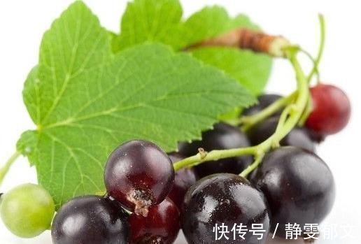 黑加仑|专家常吃此果子,降血压,延缓衰老、保护视力、保护肝脏