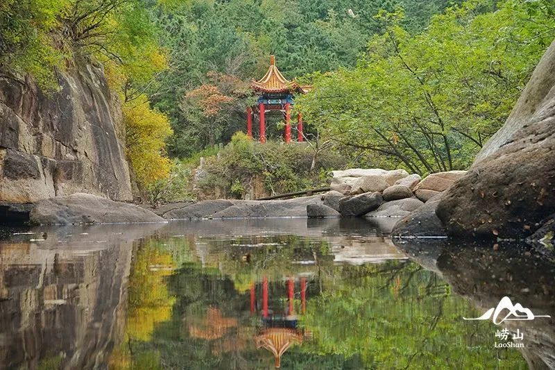 约摄影师|立冬到！崂山还牵着秋天的手，暖暖的