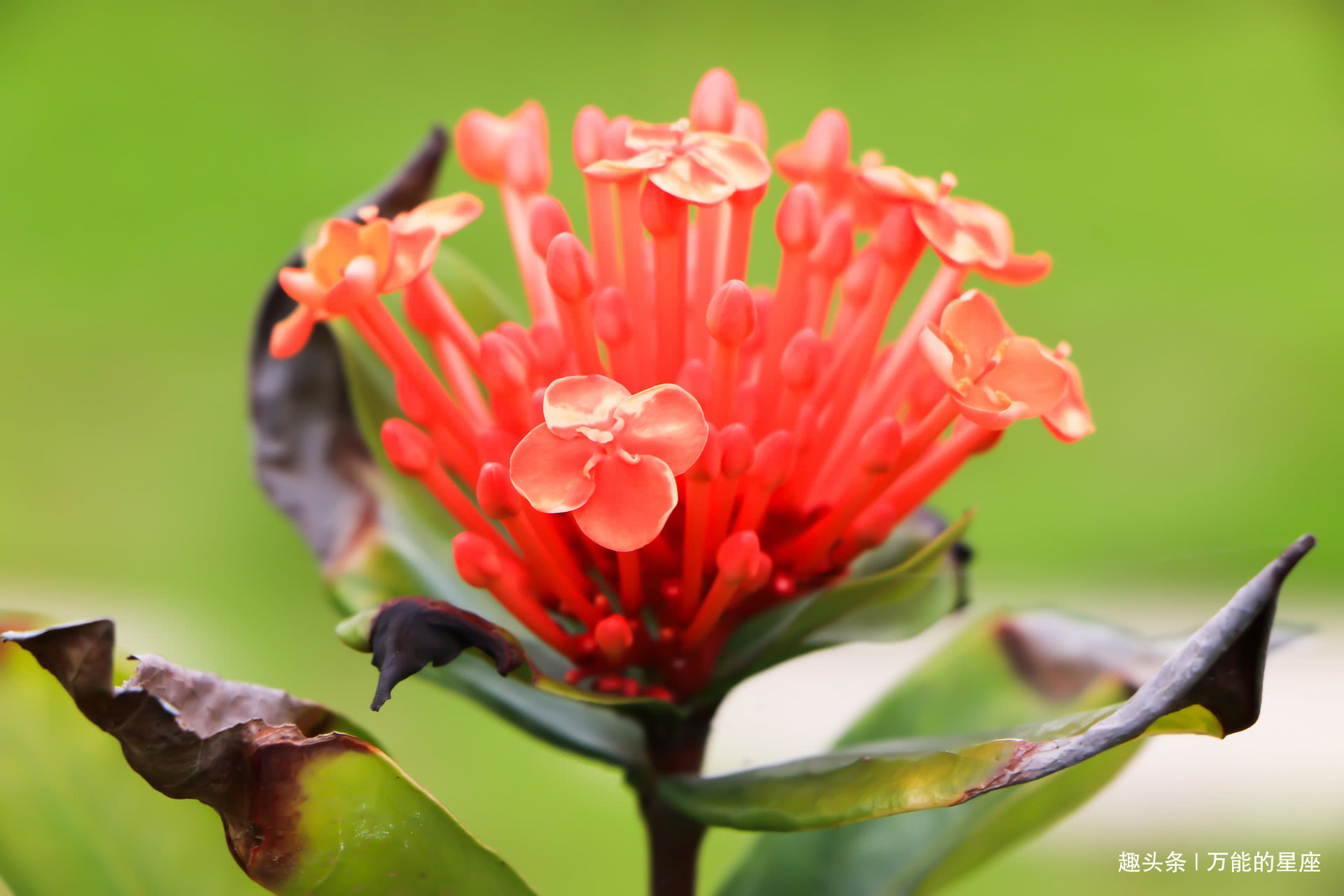 栩莹|这3个时间出生的娃,福气像宝藏,中年以后多才多福,父母也沾光