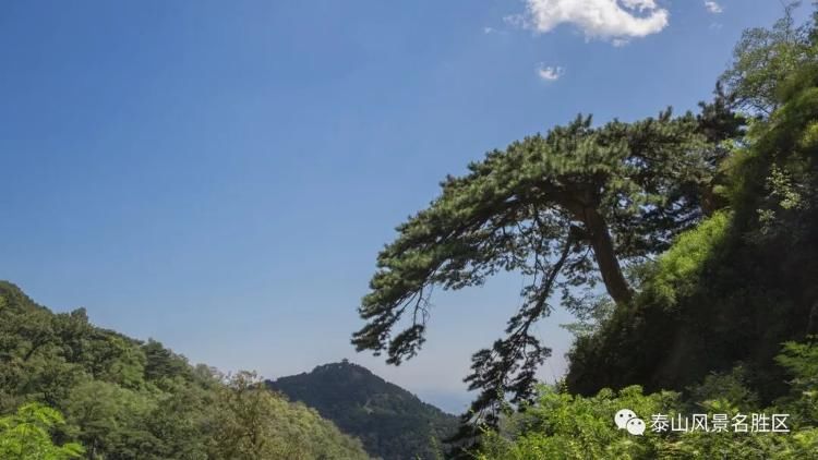 摄影|来泰山的理由，你中了几个？