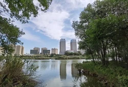 新疆伊宁市｜伊犁河风景区