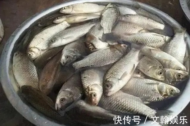 钓法|用了这鲫鱼钓法,老钓手都要甘拜下风,太强了!