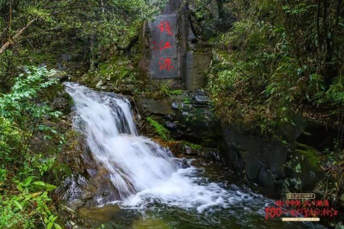 浙江农家乐老板把店搬离景区，一年营业额超百万！