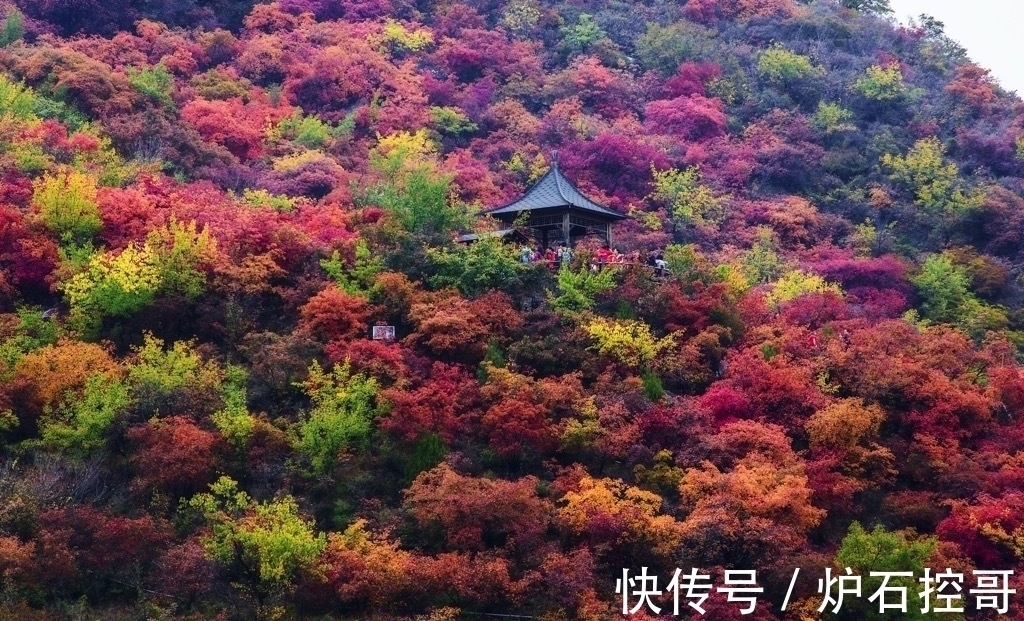 词人$诗词丨宋词的秋,惊艳四季:澄江似练,翠峰如簇,归帆去棹残阳里