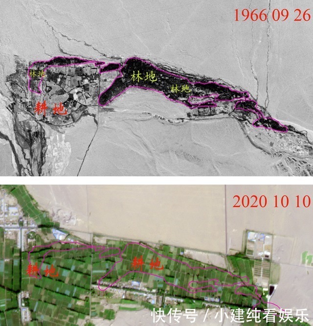 互联网时代 卫星视角，看敦煌阳关林场，55年间的前世今生