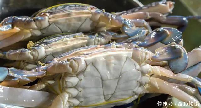 蒸螃蟹时,直接上锅蒸就废了多加这1步,蟹肉鲜嫩入味不流黄