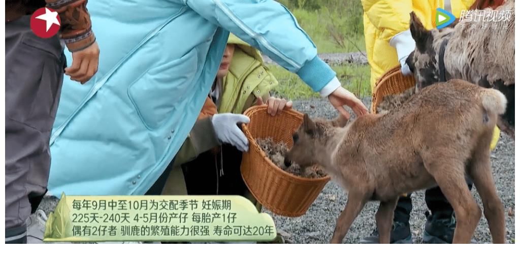 綜藝|《極限挑戰(zhàn)寶藏行2》首播獲好評，它有3大優(yōu)點，其他綜藝無法模仿