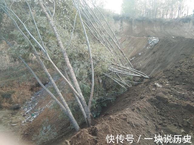 忻州|忻州五台县某房地产建筑垃圾倾倒致国有森林公园被曝光
