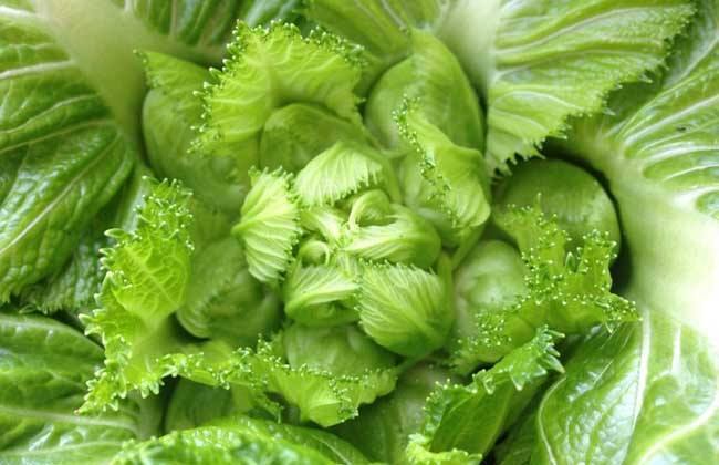 护肝|此菜2元1斤,比牛奶还补钙,味美又护肝,农村人拿它当宝贝!