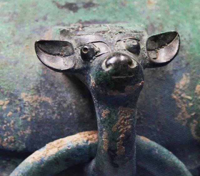 泉屋|鸱鸮 夜的精灵钧魂分享日本泉屋博物馆中国青铜器系列之九