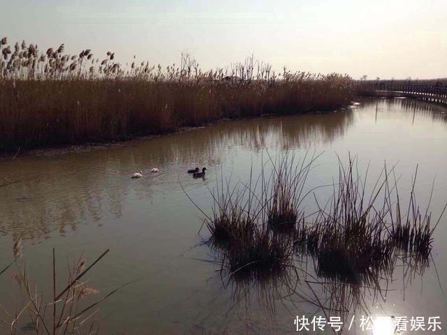  阴天钓鱼，指着这五个技巧，一年四季都不空军