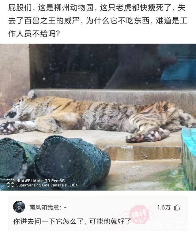 |幽默笑话:去酒吧喝酒被男友发现了,他伤心欲绝的跟我提出了分手