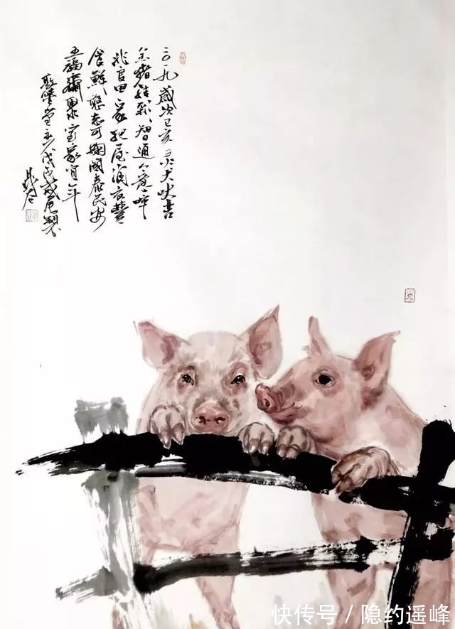 世众|萌萌的小福猪，好可爱