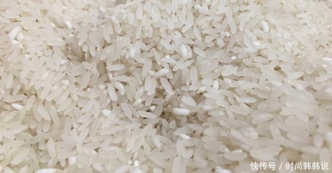 米面生虫了还能不能吃今天才弄明白,教你7个小妙招