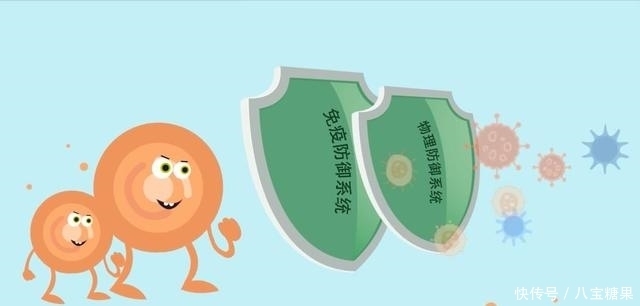 免疫力 人體健康的強健盾牌