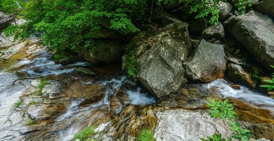 看奇峰怪石都是“三分像，七分想”，大别山腹地的天堂寨恰恰相反