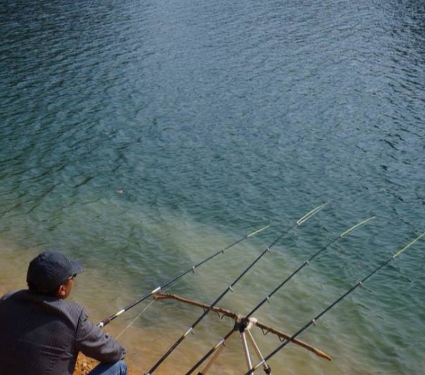 黑坑钓鱼“必杀技”麻团钓法的应用技巧分析，上鱼速度没话说