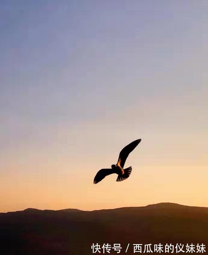 丁小槐#《沧浪之水》:一部经典官场小说,告诉我们职场生存的5个真理