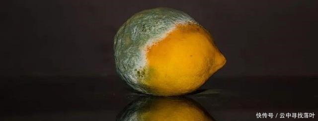 肝脏不好的人注意这3类食物别吃,特别是第1类,