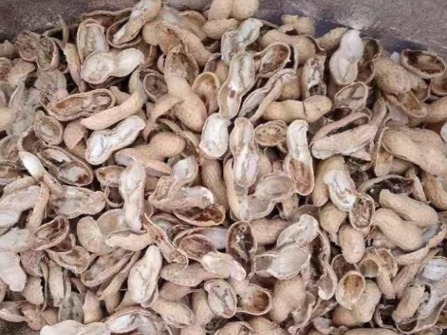 花盆里放这“4种料，”叶子越长越肥，土壤不板结，花开一朵朵