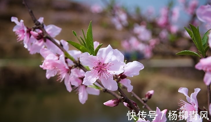 在职场|贵人到家门，1月不差钱的生肖！