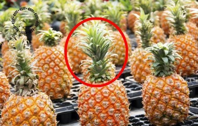 尽量少|买菠萝时,这5种尽量少买,难吃还浪费钱,水果商自己都不吃