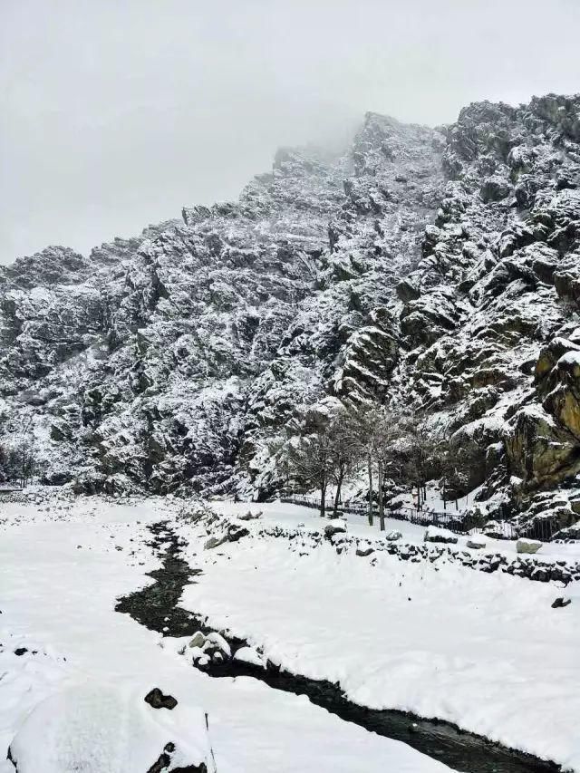 冬雪|一场冬雪，飞白作画，染了山水，美了岩画