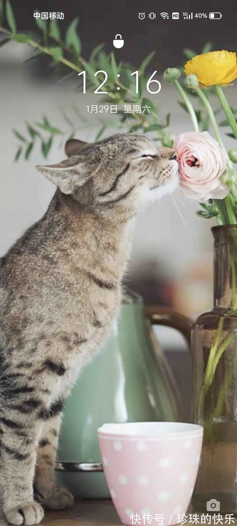 拜年|必存!新年拜年表情包丨第310期热门表情包