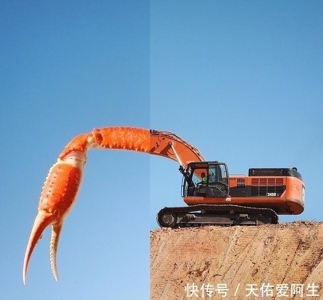 图片@艺术家将两张不同的图片拼接后,奇迹就这样发生了