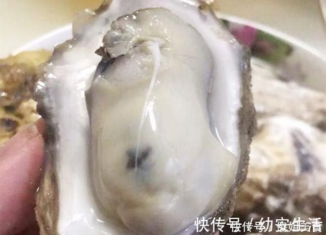 海鲜|煮生蚝时，万万别直接下锅煮，海边人这样做，煮出的生蚝又鲜又嫩