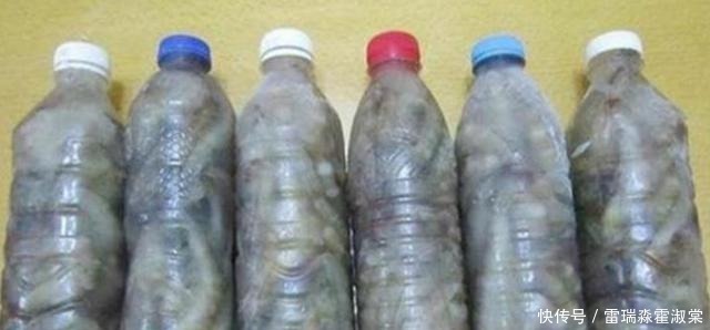 矿泉水瓶|保存鲜虾,直接塞冰箱是大错特错!多加1步,半年都鲜美不发黑