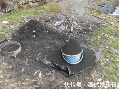 草木灰|不花钱的“肥料”遍地都是,捡回家养花,花盆抓一把,砰砰开爆盆