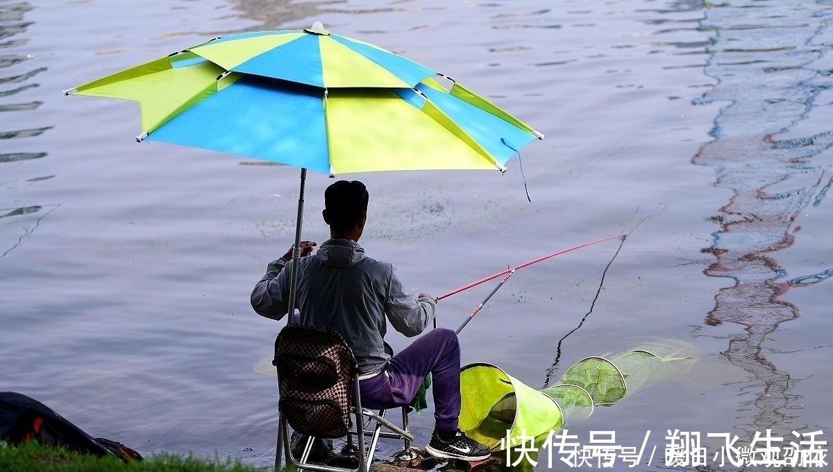 对于夏天漂浮的鲫鱼，很多人都无能为力；这三个举措已经反复尝试
