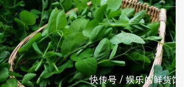 生长发育|再贵都要买来吃的9种健康蔬菜,不需要打农药,常吃远离疾病