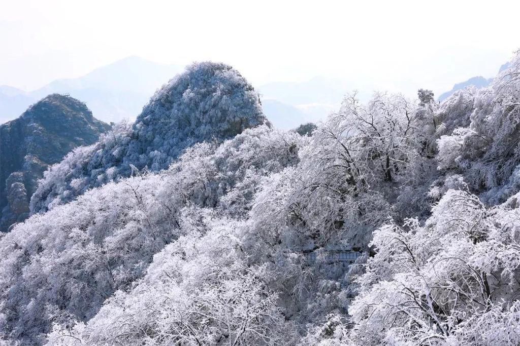 卧龙|成都冬季去哪儿玩？来冰雪秘境甘海子徒步看云海！