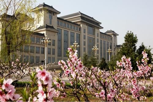 公费师范生|陕西师范大学2020年在四川、青海、宁夏本科专业录取分数统计