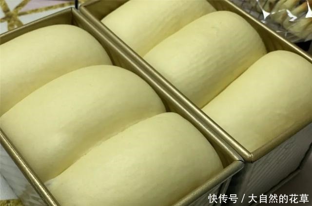 简单而朴素的做法,味道却不普通,最适合新手的烘焙入门面包