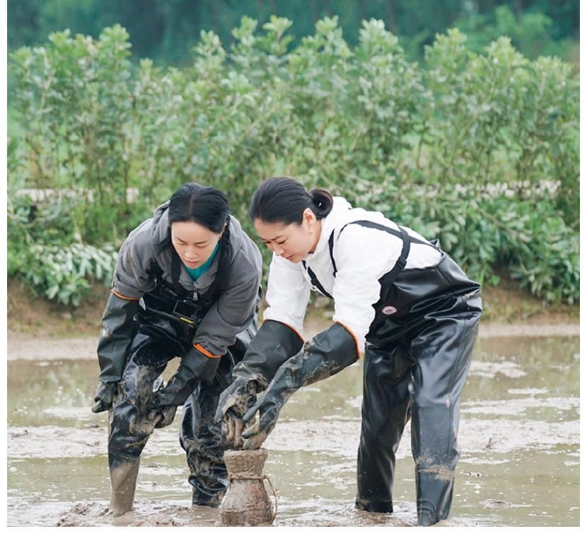 向往5下期要爆!一口氣請來10位嘉賓,他的到來讓黃磊不淡定了