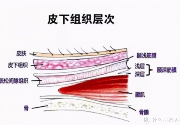 摩韵|铭记的减肥记录 篇三：筋膜枪就是暴利智商税？四款横测告诉你真相