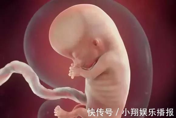 皮下脂肪|子宫内胎儿0~40周,发育变化全过程,太神奇了!