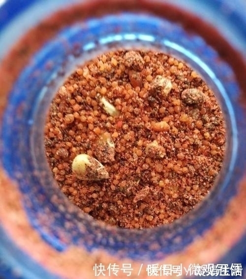 垂钓鳙鱼的技巧,饵料和垂钓方法用对才是制胜关键