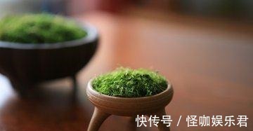 柔弱|《道德经》有和没有的关系，原来是这样，你能掌握吗！