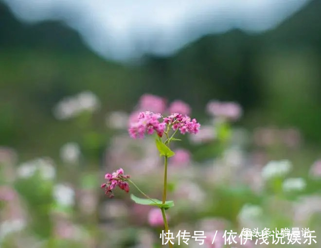 这世间|识人：一个人的情绪，决定了一生的“风水”