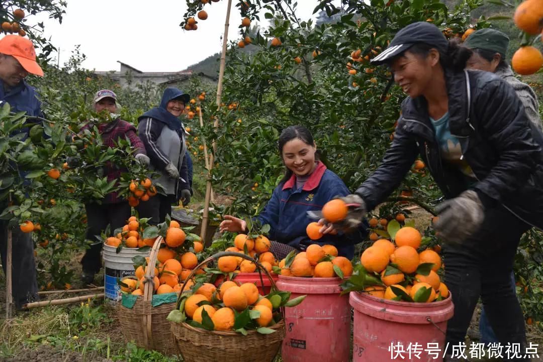 阳光|在北纬三十度的阳光里，过个又暖又甜的冬天