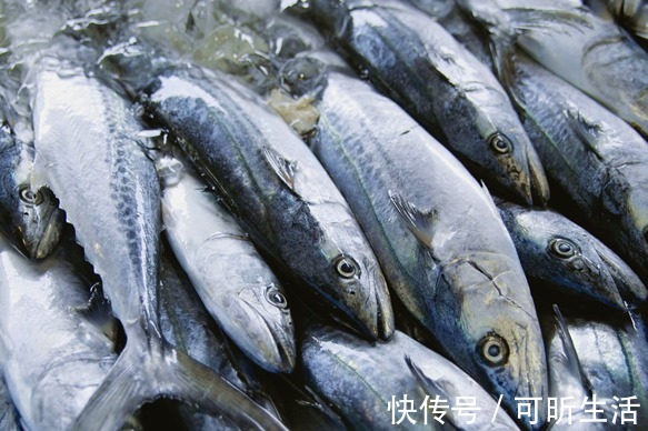 优质蛋白|买鱼时,认准这4种,目前无法人工养殖,都是野生海鱼,放心吃!