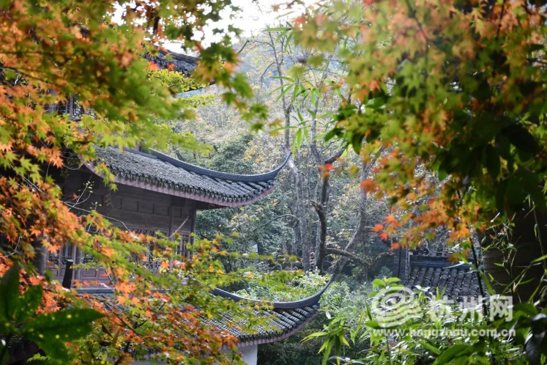 旅游|杭州西湖景区秋季旅游旺季结束了，本周末景区停车收费有调整！