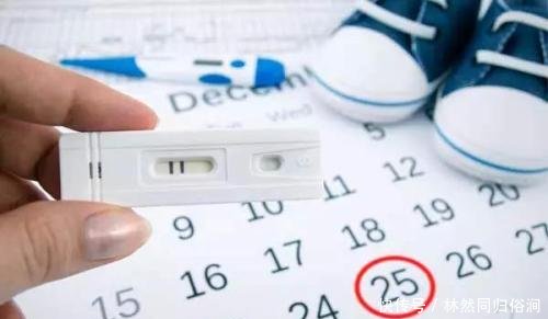 备孕时最重要的排卵期 你知多少 快资讯