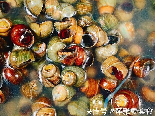 食用油|田螺洗完还是有沙？老渔民教你一妙招，田螺拼命吐沙，拦都拦不住